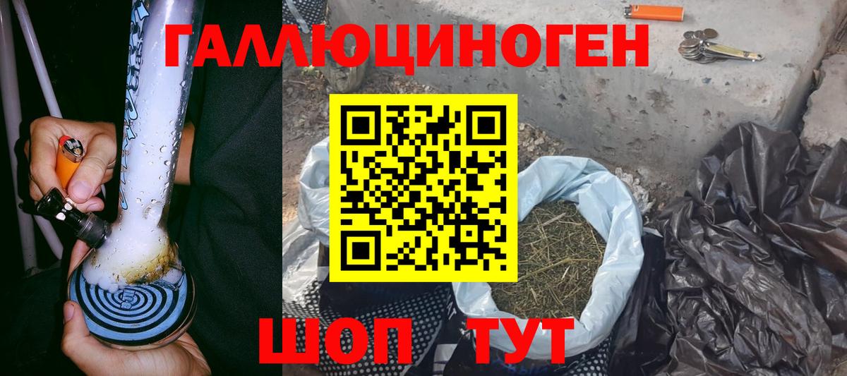 Галлюциногенные грибы Psilocybine cubensis Ялуторовск